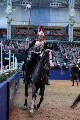 Cavalry - 00202